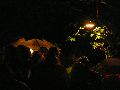 Frühlingsfest Freiraum Elbtal