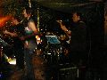 Frühlingsfest Freiraum Elbtal