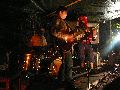 Frühlingsfest Freiraum Elbtal