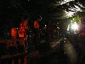 Frühlingsfest Freiraum Elbtal
