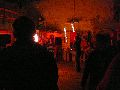 Frühlingsfest Freiraum Elbtal