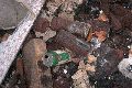 Spurensicherung einer anderen Zeit