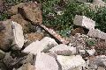 Spurensicherung einer anderen Zeit