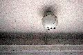 Spurensicherung einer anderen Zeit