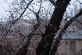 Spurensicherung einer anderen Zeit