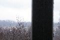 Spurensicherung einer anderen Zeit