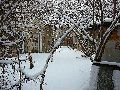 Winterspaziergang Freirqaum Elbtal