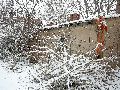 Winterspaziergang Freirqaum Elbtal