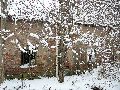 Winterspaziergang Freirqaum Elbtal