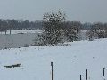 Winterspaziergang Freirqaum Elbtal
