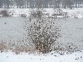 Winterspaziergang Freirqaum Elbtal