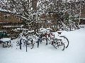 Winterspaziergang Freirqaum Elbtal