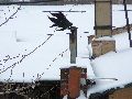 Winterspaziergang Freirqaum Elbtal