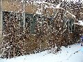 Winterspaziergang Freirqaum Elbtal