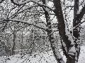 Erster Schnee an der Molebrücke-Pieschen