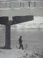 Erster Schnee an der Molebrücke-Pieschen