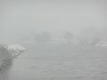 Erster Schnee an der Molebrücke-Pieschen
