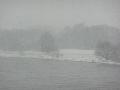 Erster Schnee an der Molebrücke-Pieschen