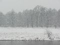 Erster Schnee an der Molebrücke-Pieschen