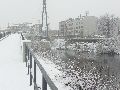 Erster Schnee an der Molebrücke-Pieschen