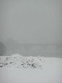 Erster Schnee an der Molebrücke-Pieschen