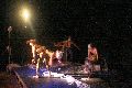 12.Schaubudensommer, Scheune, 2.7.-02.7.2009
