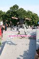 Skater C.O.S.-Cup Veranstaltung der Deutschen Meisterschaft