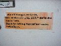 Spaziergang von der Bus Haltestelle Omsewitz-Alt Omsewitz-Alt Leutewitz-Cotta