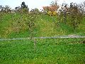 Spaziergang von der Bus Haltestelle Omsewitz-Alt Omsewitz-Alt Leutewitz-Cotta