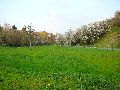 Spaziergang von der Bus Haltestelle Omsewitz-Alt Omsewitz-Alt Leutewitz-Cotta