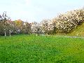 Spaziergang von der Bus Haltestelle Omsewitz-Alt Omsewitz-Alt Leutewitz-Cotta