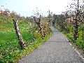 Spaziergang von der Bus Haltestelle Omsewitz-Alt Omsewitz-Alt Leutewitz-Cotta
