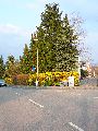 Spaziergang von der Bus Haltestelle Omsewitz-Alt Omsewitz-Alt Leutewitz-Cotta