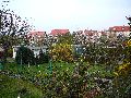 Spaziergang von der Bus Haltestelle Omsewitz-Alt Omsewitz-Alt Leutewitz-Cotta