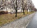 Spaziergang vom Hauptbahnhof-Arge-Löbtau-Friedrichstadt