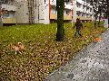 Spaziergang vom Hauptbahnhof-Arge-Löbtau-Friedrichstadt