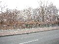 Spaziergang vom Hauptbahnhof-Arge-Löbtau-Friedrichstadt