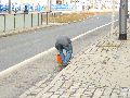 Spaziergang vom Hauptbahnhof-Arge-Löbtau-Friedrichstadt