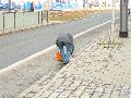 Spaziergang vom Hauptbahnhof-Arge-Löbtau-Friedrichstadt