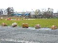Spaziergang am und im Ostragehege