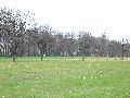 Spaziergang am und im Ostragehege