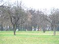 Spaziergang am und im Ostragehege