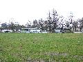 Spaziergang am und im Ostragehege