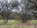 Spaziergang am und im Ostragehege