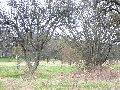 Spaziergang am und im Ostragehege