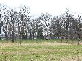 Spaziergang am und im Ostragehege