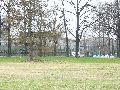 Spaziergang am und im Ostragehege