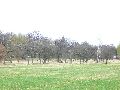 Spaziergang am und im Ostragehege