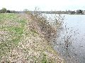 Spaziergang am und im Ostragehege