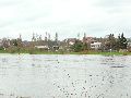 Spaziergang am und im Ostragehege